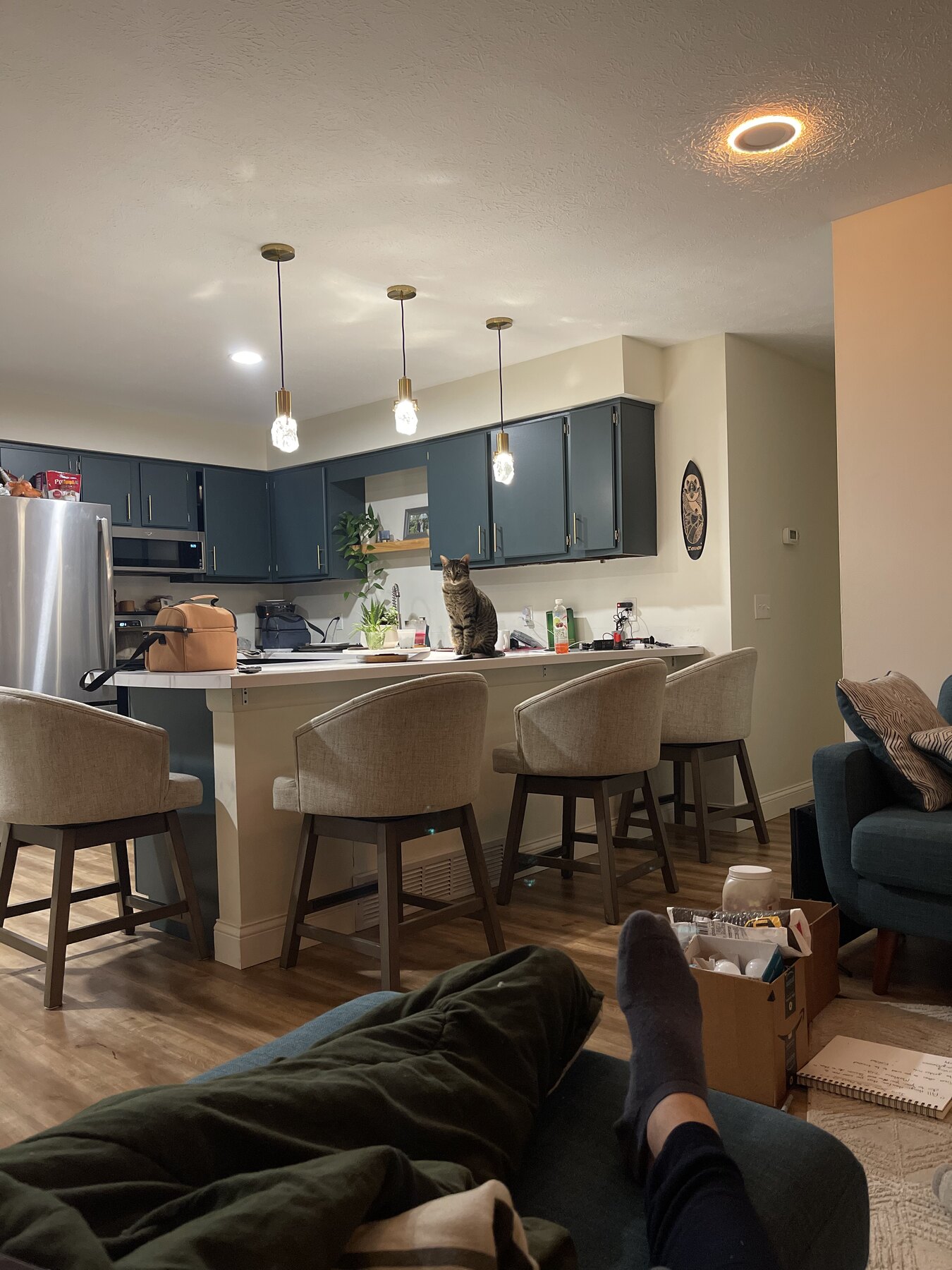 Finished Firefly Electric kitchen lighting installation